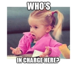 who will be in charge of your swimming pool project